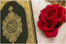 Inilah Referensi Mode...