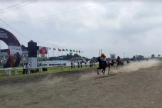 198 Kuda Adu Cepat di...