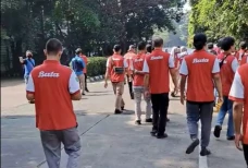 Terkuak, Ini Penyebab...