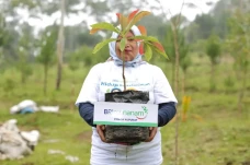 Triwulan Pertama 2024,...