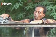 Nabung Rp10 Ribu Selama...