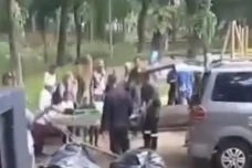 Tertimpa Pohon Tumbang,...