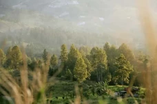 7 Kota Terdingin Indonesia...