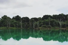 11 Tempat Wisata di...