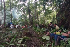 3 Fakta Hutan Halmahera,...