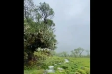 Keindahan Lembah Lohe...