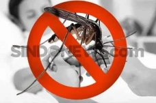Waspada! Wabah Malaria...