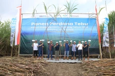PTPN I Regional 4 Optimistis...