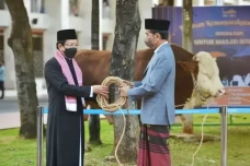 Jokowi Sebar 68 Ekor...