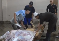 Ditemukan Cacing Hati...