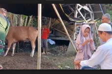 Bikin Haru, Seorang...