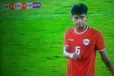 Piala AFF, Timnas Indonesia...