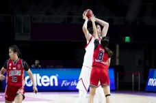 Zhang Ziyu, Pebasket...