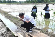 Antisipasi Kekeringan...