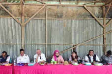 Pertanian Lahan Rawa...