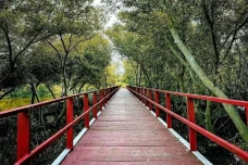 5 Destinasi Wisata Alam...