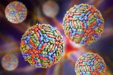 5 Fakta Virus West Nile,...