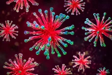 10 Virus Paling Mematikan...