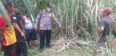 Kepala Desa di Sergai...