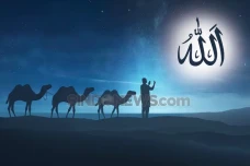 Hijrah, Hidayah Allah...