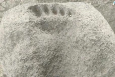 Batu Tapak Kaki Raksasa...