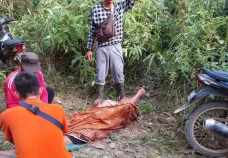 Hendak Halau Gajah Perusak...