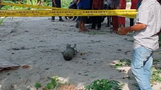 Heboh! Pemulung Temukan...