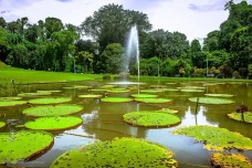 7 Tempat Wisata di Bogor...