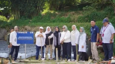 Hibah Kemendikbud Ristek...