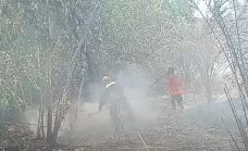 Puluhan Hektare Perkebunan...