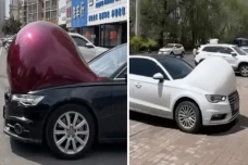 Mobil Hamil, Fenomena...