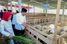 Berdayakan Mustahik...