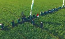 Peringati HUT RI ke-79,...