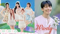 5 Konser dan Fanmeeting...