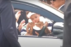 Langka! Bayi asal NTT...