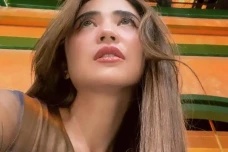 Dewi Perssik Tampik...