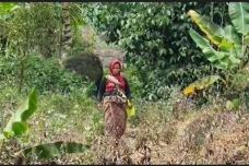 Kemarau Berkepanjangan,...