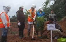 Kemandirian Pangan,...