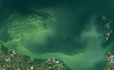 Danau Besar di Amerika...