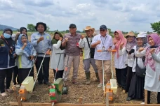 Kementan Gandeng Pemkab...