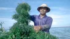 Pemberdayaan BRI Tingkatkan...