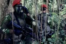 Kisah Menegangkan Mardi...