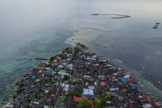 Satu Dekade Jokowi:...