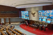DPR Setujui Naturalisasi...