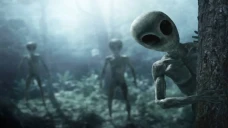 Ahli UFO Ungkap Cara...