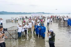 Penanaman 20 Ribu Bibit...