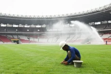 3 Penyebab Rumput Stadion...