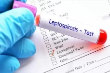 Wabah Leptospirosis...