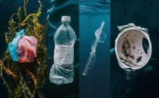 Jamur Pemakan Plastik:...
