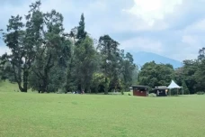 6 Rekomendasi Tempat...